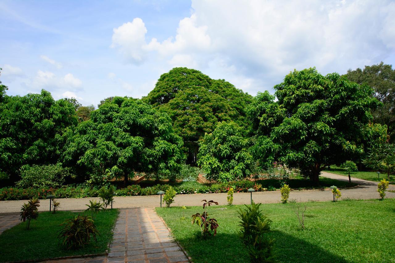 Grand & Gangula Hotel Dambulla Exterior photo